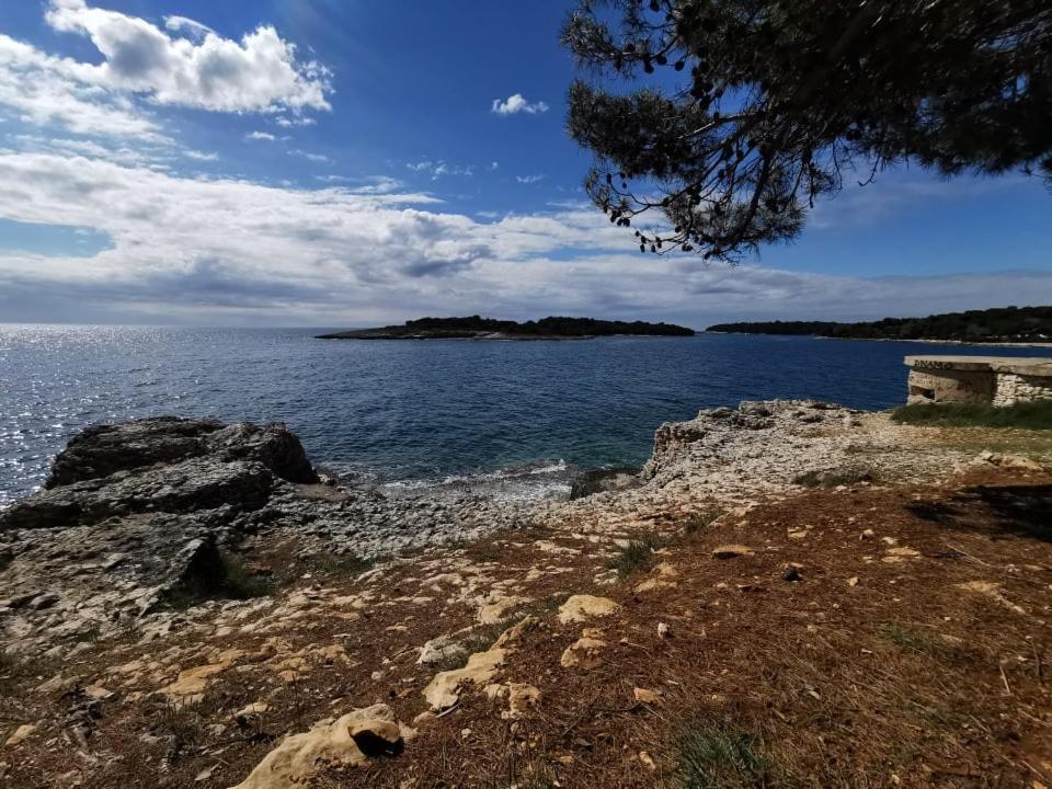 Black Pearl - Luxury Seaside App With Pool & Bbq, Istra Banjole Esterno foto
