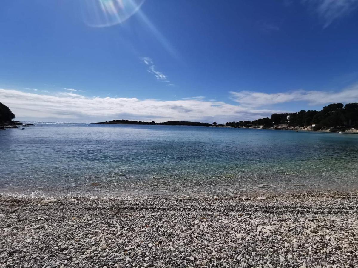 Black Pearl - Luxury Seaside App With Pool & Bbq, Istra Banjole Esterno foto