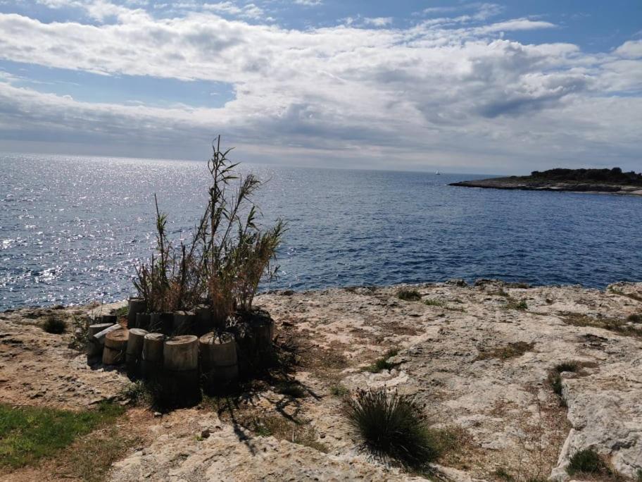 Black Pearl - Luxury Seaside App With Pool & Bbq, Istra Banjole Esterno foto