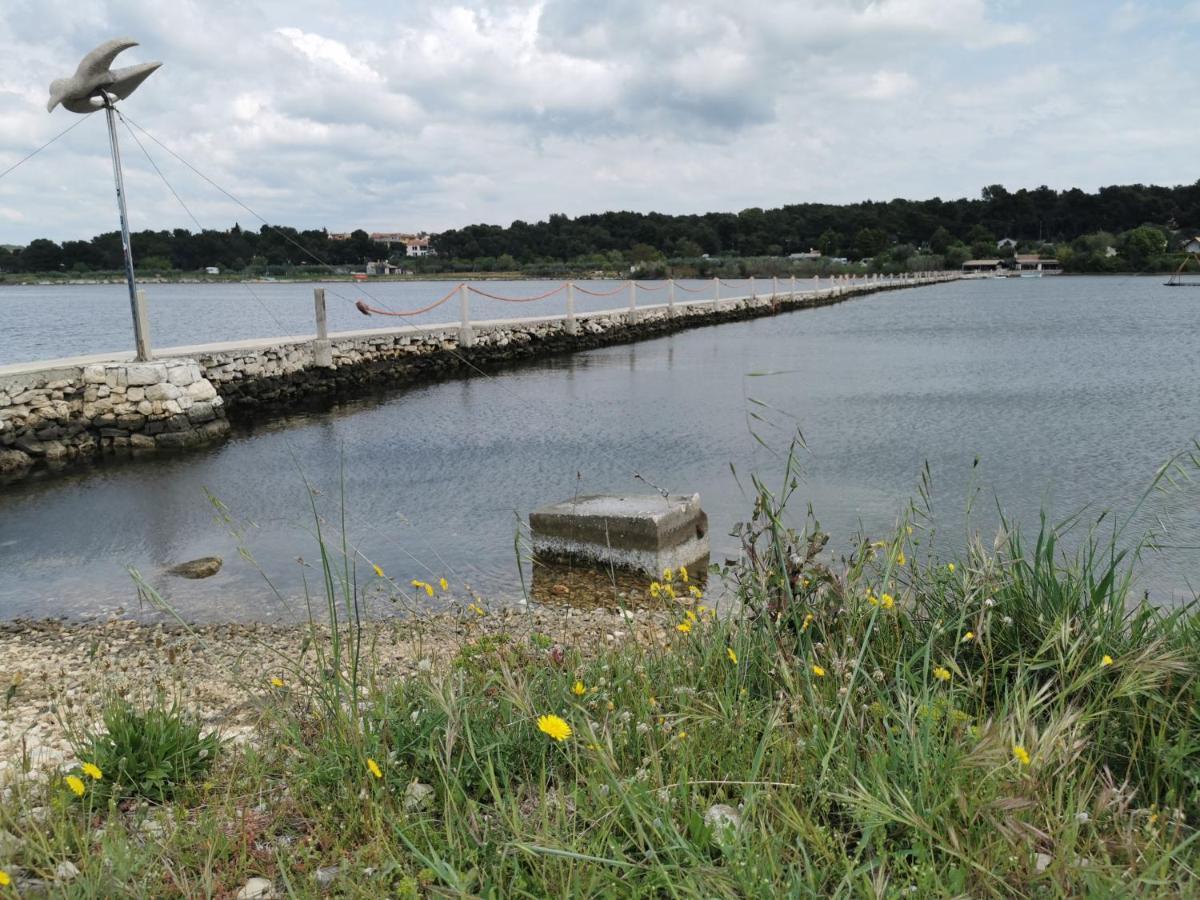 Black Pearl - Luxury Seaside App With Pool & Bbq, Istra Banjole Esterno foto